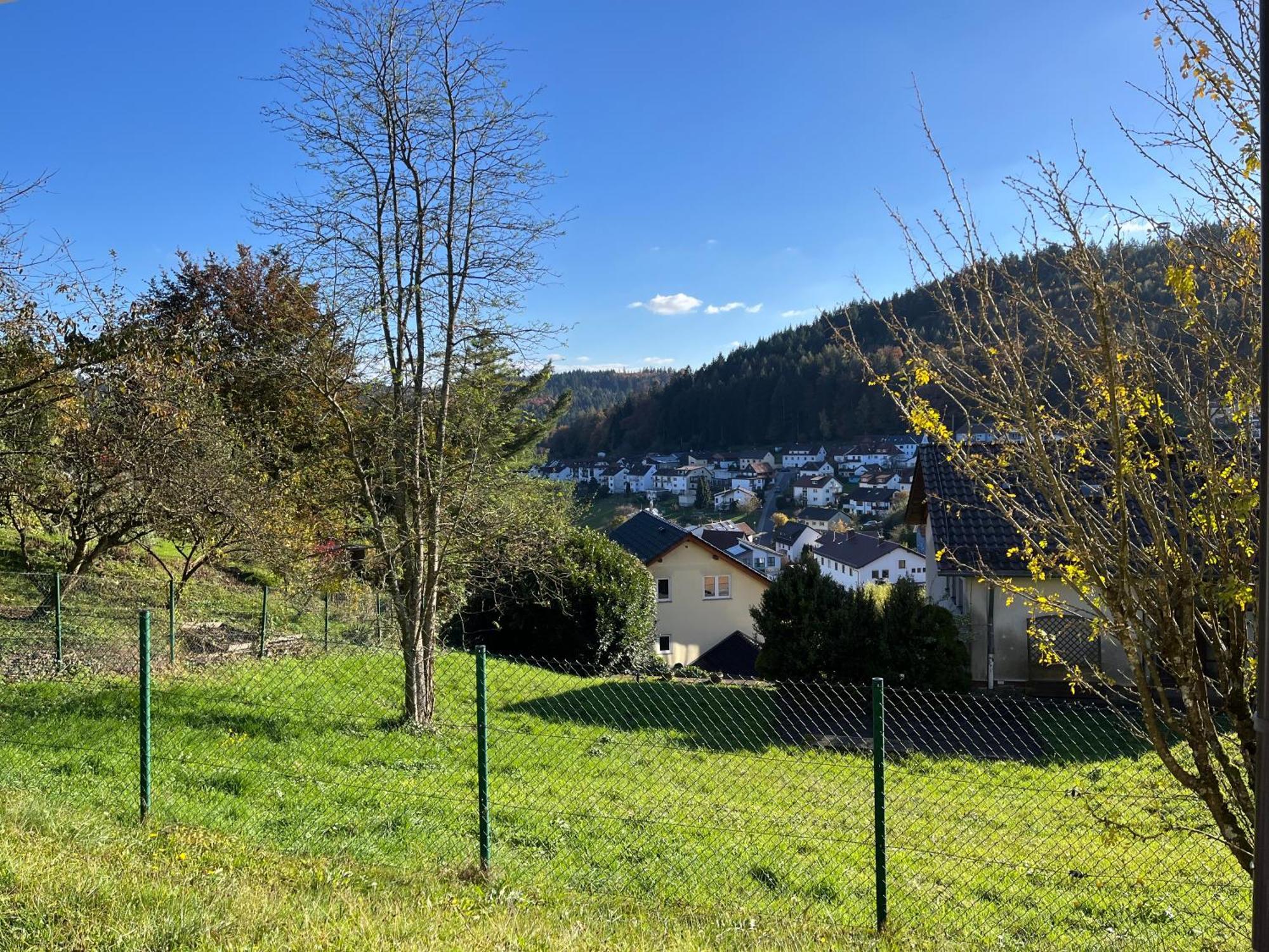 Ferienwohnung Bergstrasse Wilhelmsfeld  Екстер'єр фото